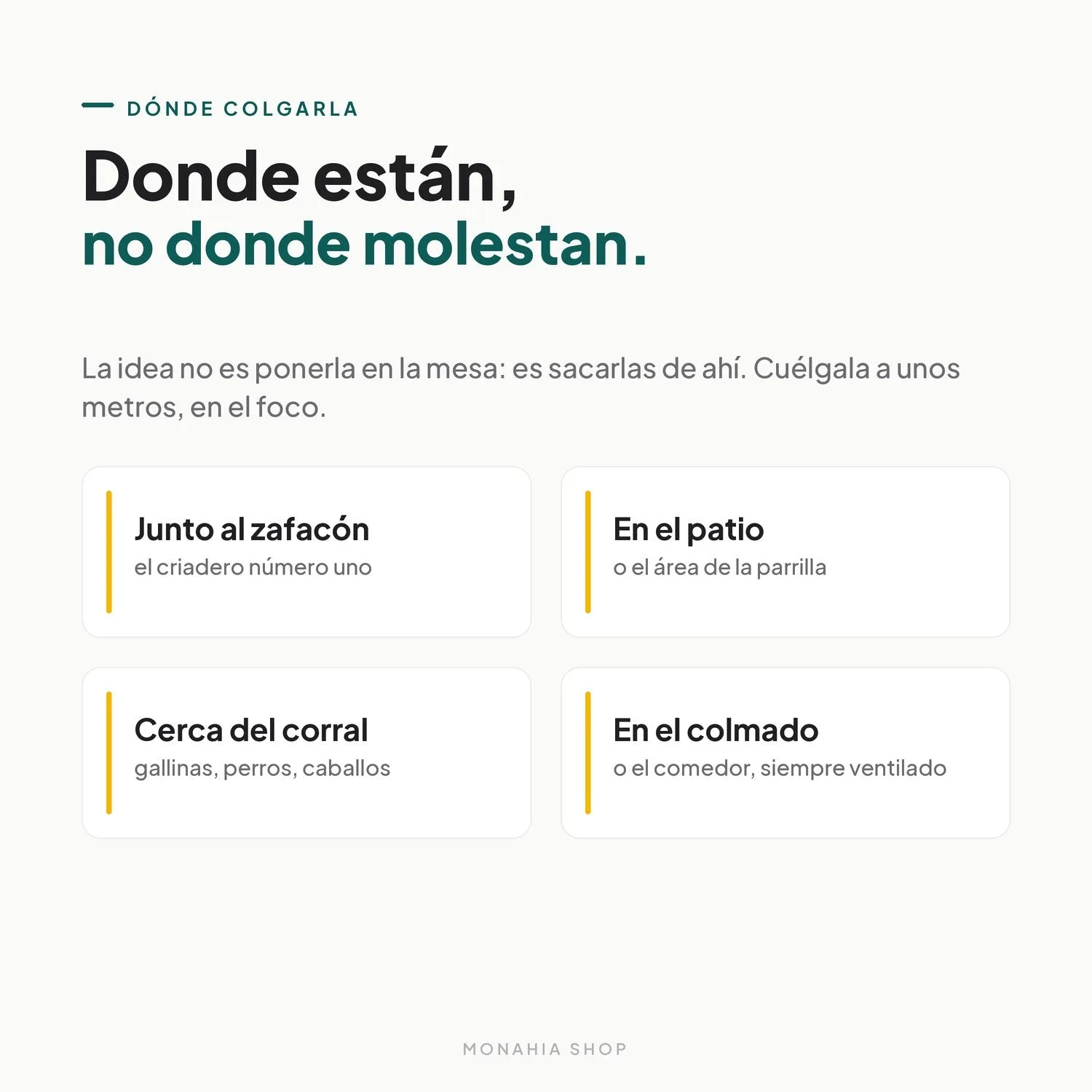 Trampa para moscas desechable — atrapa sin veneno ni olor — Pack de 4